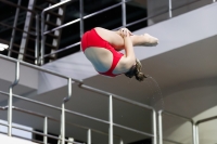 Thumbnail - 2019 - Alpe Adria Trieste - Plongeon 03038_07568.jpg