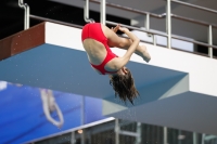 Thumbnail - 2019 - Alpe Adria Trieste - Diving Sports 03038_07586.jpg