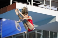 Thumbnail - 2019 - Alpe Adria Trieste - Plongeon 03038_07589.jpg