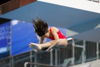 Thumbnail - 2019 - Alpe Adria Trieste - Plongeon 03038_07590.jpg