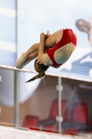 Thumbnail - 2019 - Alpe Adria Trieste - Diving Sports 03038_07617.jpg