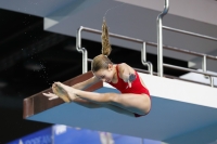 Thumbnail - 2019 - Alpe Adria Trieste - Diving Sports 03038_07625.jpg