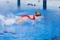 Thumbnail - 2019 - Alpe Adria Trieste - Diving Sports 03038_07717.jpg