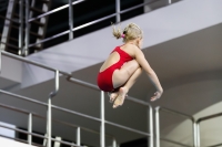 Thumbnail - 2019 - Alpe Adria Trieste - Diving Sports 03038_07744.jpg