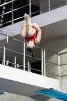 Thumbnail - 2019 - Alpe Adria Trieste - Diving Sports 03038_07762.jpg