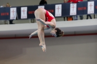 Thumbnail - 2019 - Alpe Adria Trieste - Diving Sports 03038_07859.jpg