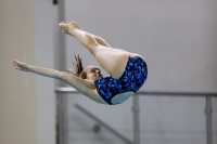 Thumbnail - 2019 - Alpe Adria Trieste - Diving Sports 03038_07889.jpg