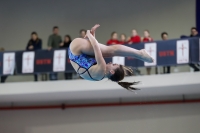 Thumbnail - 2019 - Alpe Adria Trieste - Plongeon 03038_07933.jpg