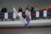 Thumbnail - Girls B - Cara Albiez - Diving Sports - 2019 - Alpe Adria Trieste - Participants - Austria 03038_07948.jpg