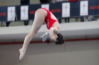 Thumbnail - 2019 - Alpe Adria Trieste - Diving Sports 03038_07961.jpg