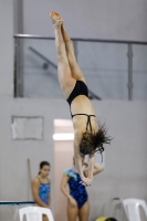 Thumbnail - 2019 - Alpe Adria Trieste - Diving Sports 03038_08032.jpg