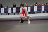 Thumbnail - 2019 - Alpe Adria Trieste - Plongeon 03038_08076.jpg