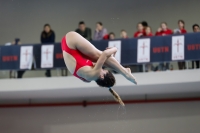 Thumbnail - 2019 - Alpe Adria Trieste - Diving Sports 03038_08077.jpg