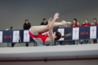 Thumbnail - 2019 - Alpe Adria Trieste - Diving Sports 03038_08078.jpg