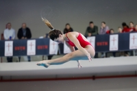 Thumbnail - 2019 - Alpe Adria Trieste - Diving Sports 03038_08082.jpg