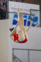 Thumbnail - 2019 - Alpe Adria Trieste - Diving Sports 03038_08112.jpg