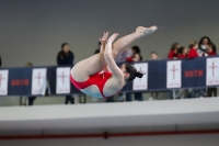 Thumbnail - 2019 - Alpe Adria Trieste - Diving Sports 03038_08120.jpg