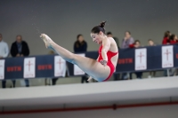 Thumbnail - 2019 - Alpe Adria Trieste - Diving Sports 03038_08122.jpg