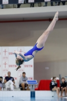 Thumbnail - 2019 - Alpe Adria Trieste - Diving Sports 03038_08159.jpg