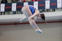 Thumbnail - 2019 - Alpe Adria Trieste - Plongeon 03038_08171.jpg