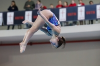 Thumbnail - 2019 - Alpe Adria Trieste - Diving Sports 03038_08174.jpg