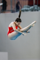 Thumbnail - 2019 - Alpe Adria Trieste - Diving Sports 03038_08208.jpg