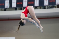 Thumbnail - 2019 - Alpe Adria Trieste - Diving Sports 03038_08211.jpg