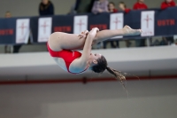 Thumbnail - 2019 - Alpe Adria Trieste - Diving Sports 03038_08213.jpg