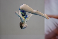 Thumbnail - 2019 - Alpe Adria Trieste - Diving Sports 03038_08222.jpg