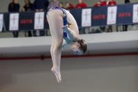 Thumbnail - 2019 - Alpe Adria Trieste - Diving Sports 03038_08228.jpg