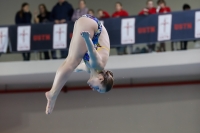 Thumbnail - 2019 - Alpe Adria Trieste - Diving Sports 03038_08229.jpg