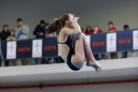 Thumbnail - 2019 - Alpe Adria Trieste - Diving Sports 03038_08285.jpg