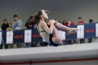 Thumbnail - 2019 - Alpe Adria Trieste - Diving Sports 03038_08286.jpg