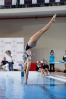 Thumbnail - 2019 - Alpe Adria Trieste - Diving Sports 03038_08358.jpg