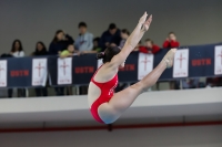 Thumbnail - 2019 - Alpe Adria Trieste - Diving Sports 03038_08373.jpg