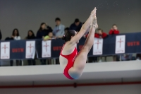 Thumbnail - 2019 - Alpe Adria Trieste - Diving Sports 03038_08374.jpg