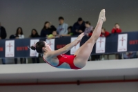 Thumbnail - 2019 - Alpe Adria Trieste - Diving Sports 03038_08376.jpg