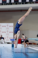 Thumbnail - 2019 - Alpe Adria Trieste - Diving Sports 03038_08395.jpg