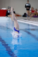 Thumbnail - 2019 - Alpe Adria Trieste - Diving Sports 03038_08421.jpg