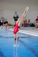 Thumbnail - 2019 - Alpe Adria Trieste - Diving Sports 03038_08472.jpg