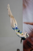 Thumbnail - 2019 - Alpe Adria Trieste - Diving Sports 03038_08484.jpg