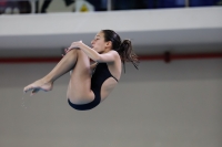 Thumbnail - 2019 - Alpe Adria Trieste - Diving Sports 03038_08508.jpg