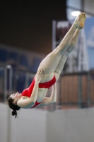 Thumbnail - 2019 - Alpe Adria Trieste - Diving Sports 03038_08619.jpg