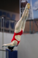 Thumbnail - 2019 - Alpe Adria Trieste - Diving Sports 03038_08620.jpg