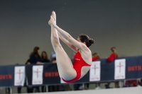 Thumbnail - 2019 - Alpe Adria Trieste - Diving Sports 03038_08631.jpg