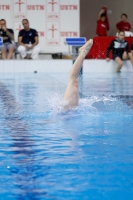 Thumbnail - 2019 - Alpe Adria Trieste - Diving Sports 03038_08638.jpg