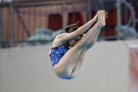 Thumbnail - 2019 - Alpe Adria Trieste - Diving Sports 03038_08697.jpg