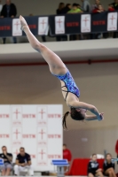 Thumbnail - 2019 - Alpe Adria Trieste - Diving Sports 03038_08711.jpg