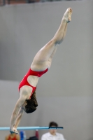 Thumbnail - 2019 - Alpe Adria Trieste - Diving Sports 03038_08739.jpg