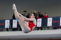 Thumbnail - 2019 - Alpe Adria Trieste - Diving Sports 03038_08748.jpg